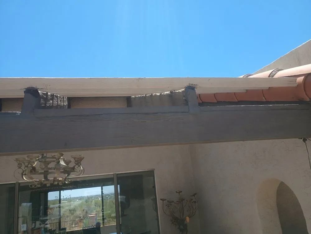 Top-rated garden landscaping for year-round maintenance in Tucson, AZ by AA Ron's Total Home Solutions