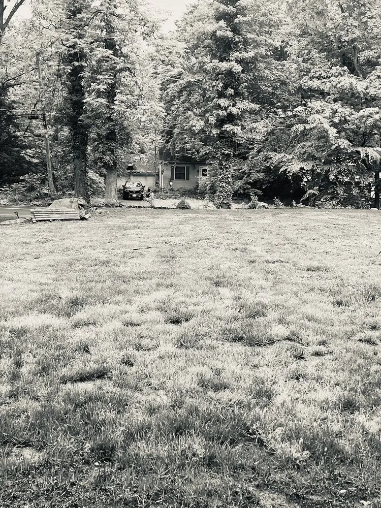 Expert lawn care service in Bordentown, NJ - A&A Seasonal Solutions