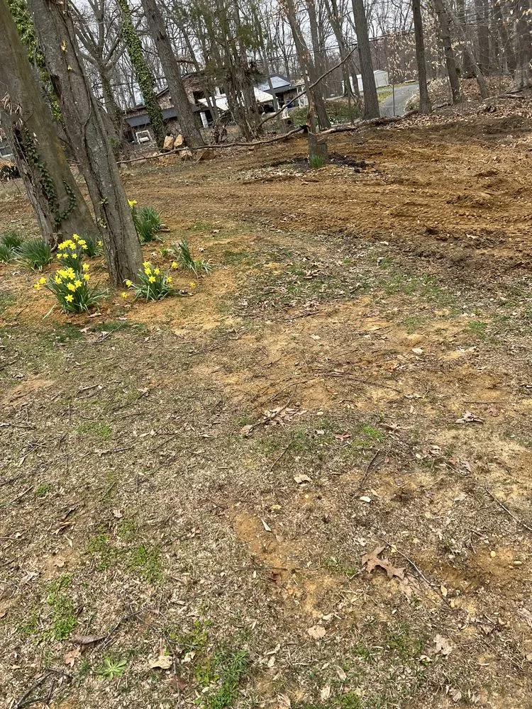 Local landscaping services in Bordentown, NJ by A&A Seasonal Solutions