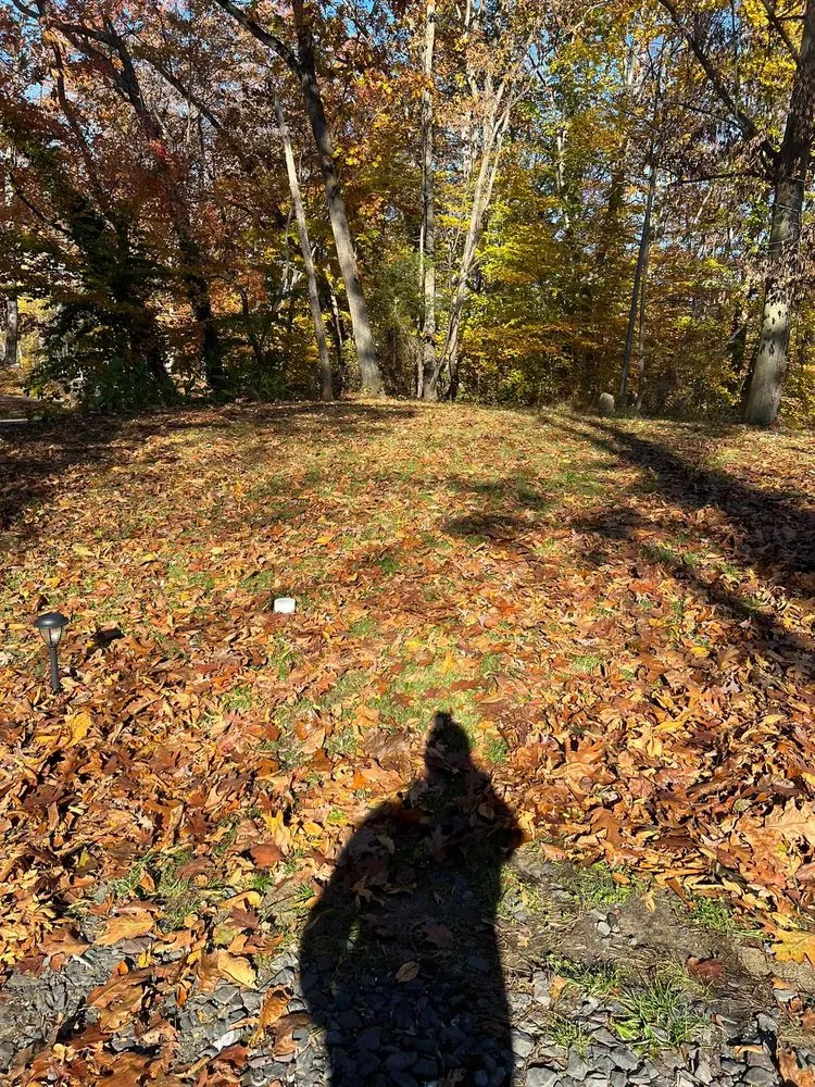 Local yard maintenance in Bordentown, NJ - A&A Seasonal Solutions