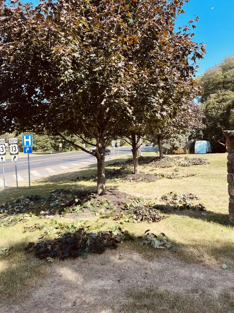 Trusted landscaping services for outdoor upgrades across Bordentown, NJ - A&A Seasonal Solutions