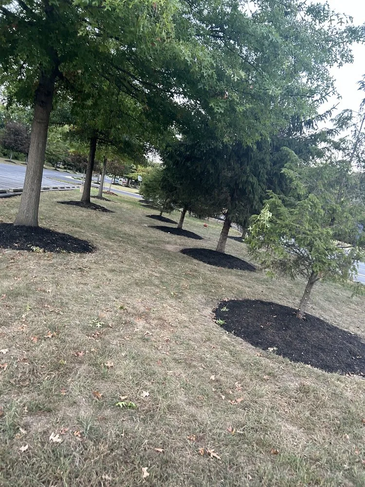 Professional lawn care service near you in Bordentown, NJ by A&A Seasonal Solutions