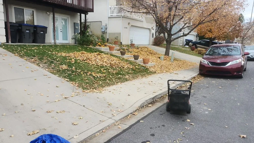 Expert landscaping services in Provo, UT - A&A Services Home and Lawn Care