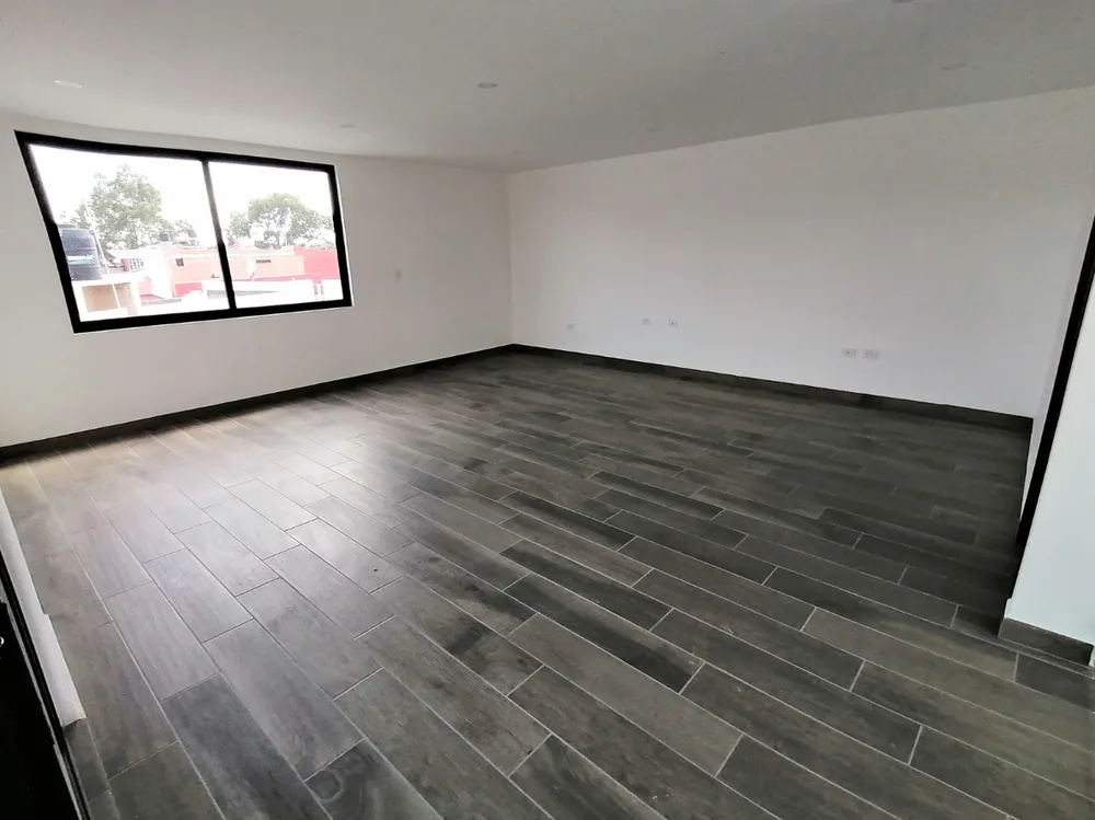 Local yard cleanup service in Everett, WA by A&A Smart G.C