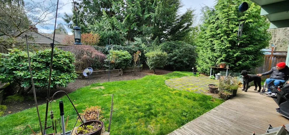 Custom yard maintenance for year-round maintenance across Everett, WA - A&A Smart G.C