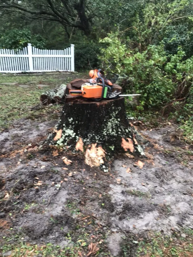 Local landscaping services in New Bern, NC - AA Stump Grinding