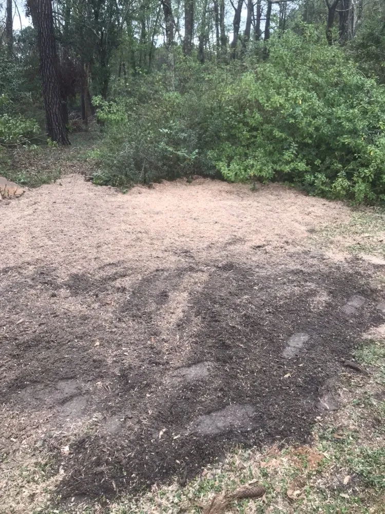 Professional lawn mowing service in New Bern, NC - AA Stump Grinding