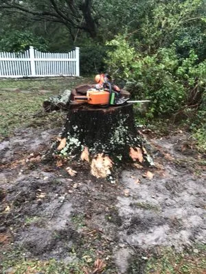 AA Stump Grinding