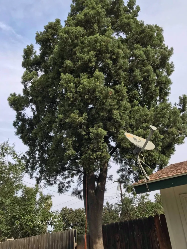 Professional landscape design for outdoor upgrades in Waipahu, HI by A&A Tree & Landscaping Services