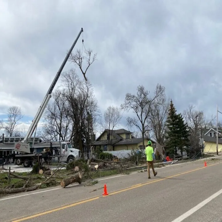 Professional landscaping services experts serving Rogers, MN - A+A Tree Care Professionals