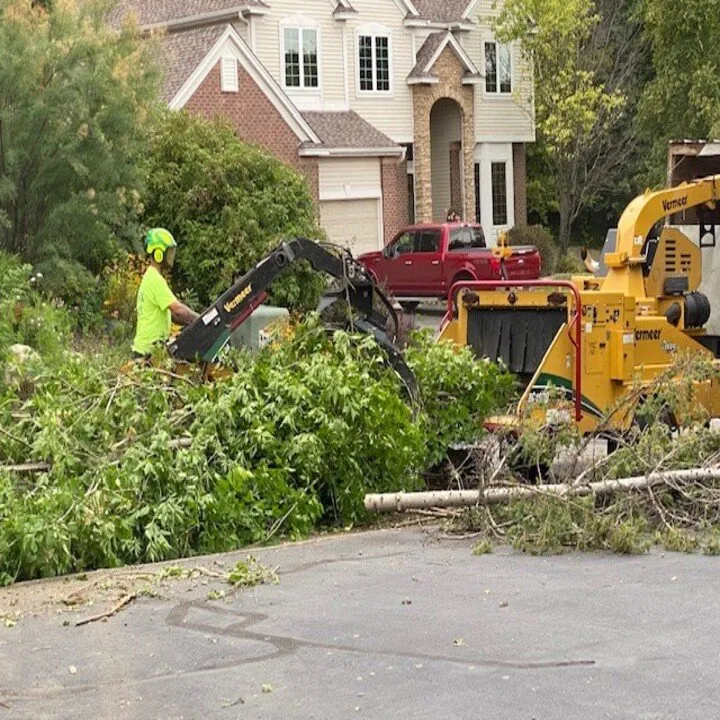 Trusted garden landscaping for beautiful yards in Rogers, MN by A+A Tree Care Professionals