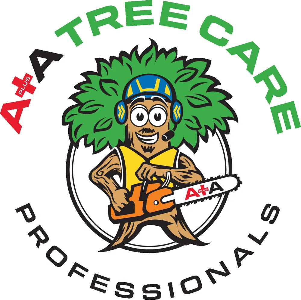 Expert landscape installation in Rogers, MN - A+A Tree Care Professionals