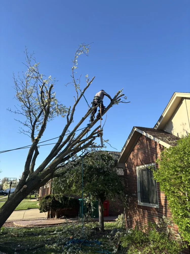 Custom residential landscaping in Waterford Township, MI by A&A Tree Service & Landscaping