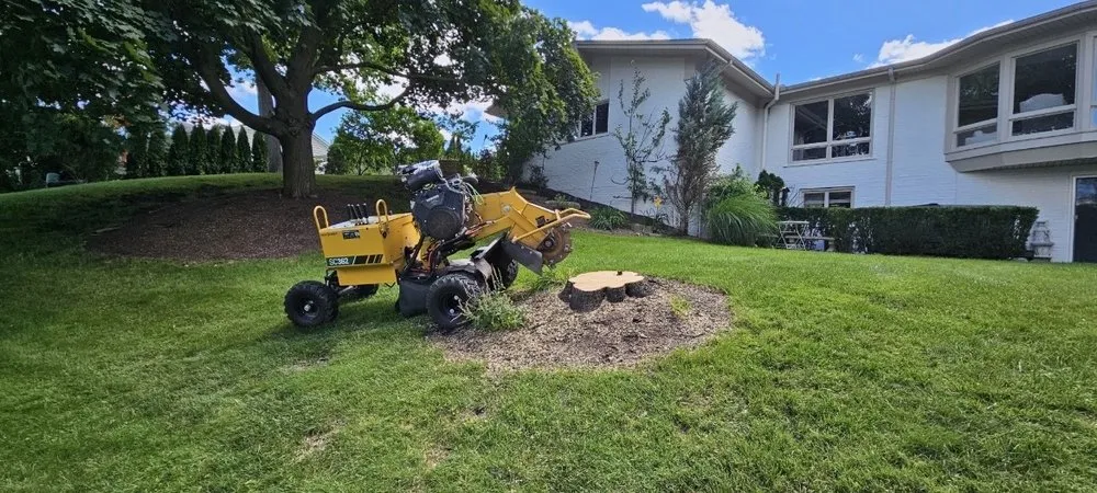 Professional landscaping services with custom design across Waterford Township, MI - A&A Tree Service & Landscaping