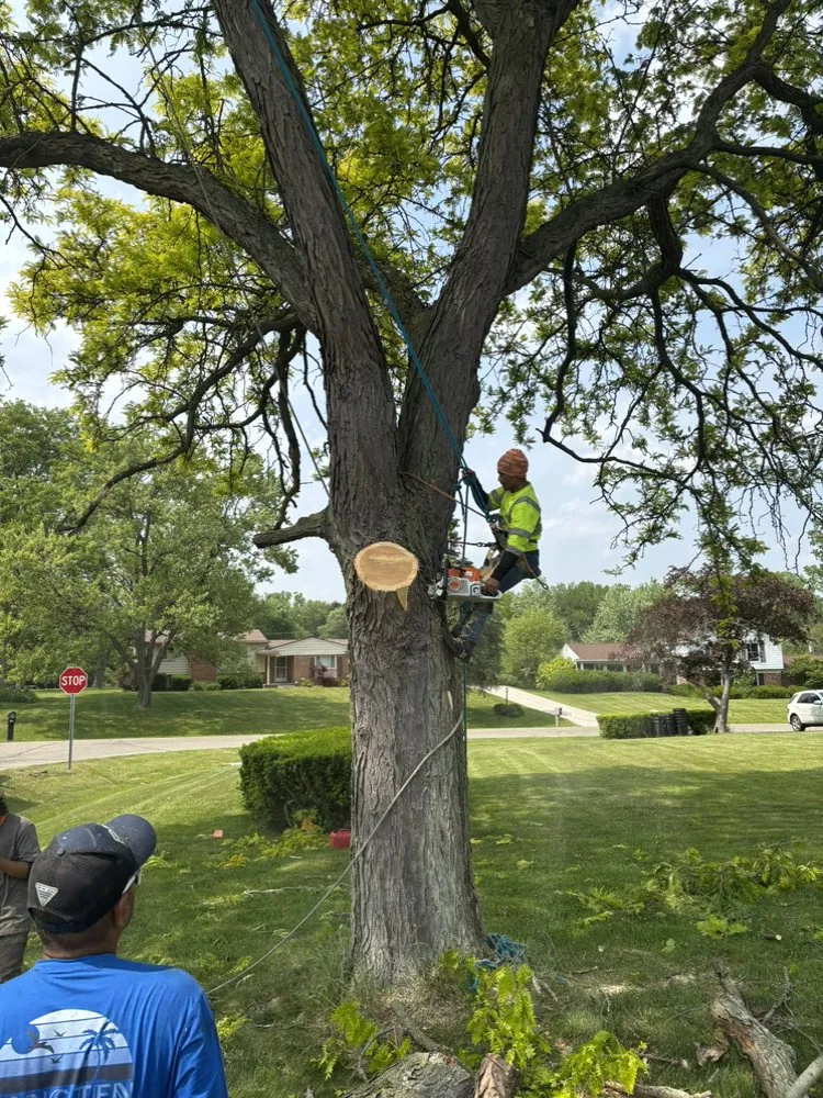 Affordable landscaping services in Waterford Township, MI - A&A Tree Service & Landscaping