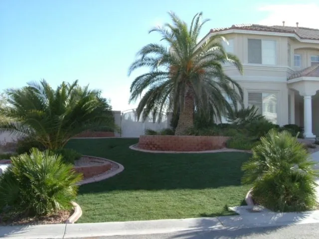 Affordable yard maintenance for homes across Las Vegas, NV - AA Wet Tech