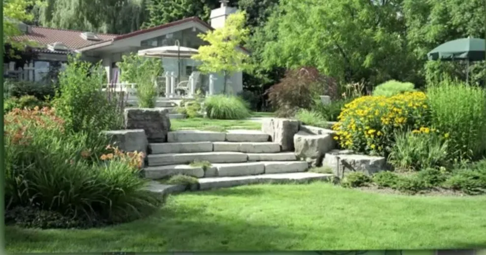 Affordable yard cleanup service in San Antonio, TX by Aa210 Landscaping