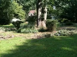 Professional landscaping services in West Chester, PA by AAA All Star Lawn Care