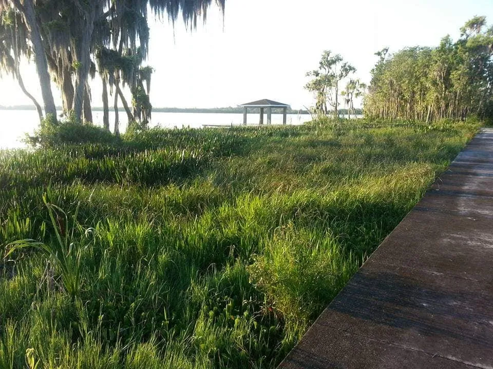 Trusted landscape installation in Winter Haven, FL by AAA Aquatics