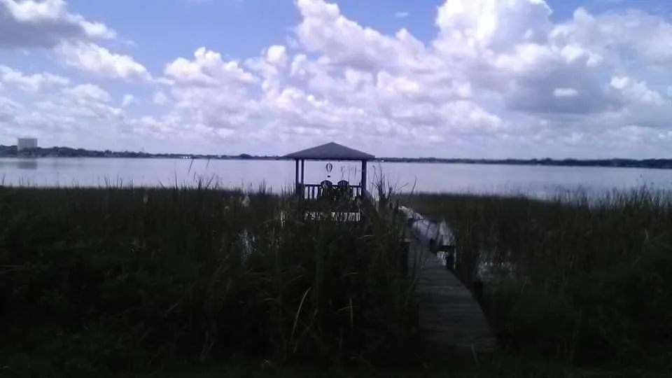 Top-rated landscape installation for year-round maintenance in Winter Haven, FL by AAA Aquatics