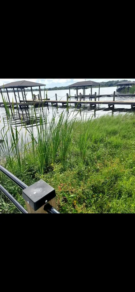 Trusted yard maintenance for year-round maintenance across Winter Haven, FL - AAA Aquatics