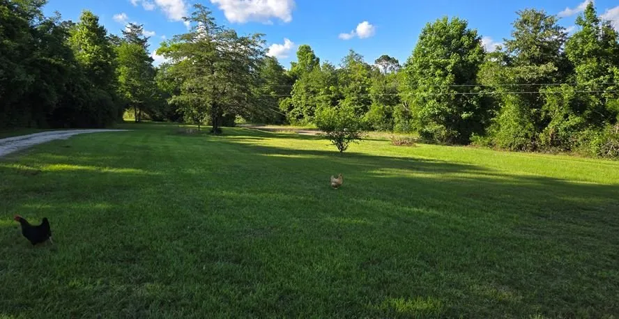 Reliable lawn mowing service for year-round maintenance in Pollok, TX by AAA Bks Lawn Service