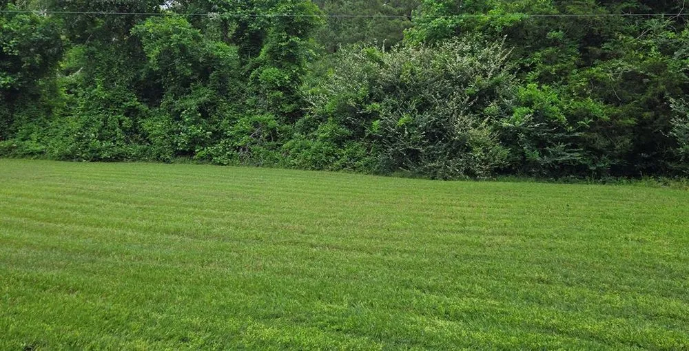 Affordable landscape design experts serving Pollok, TX - AAA Bks Lawn Service