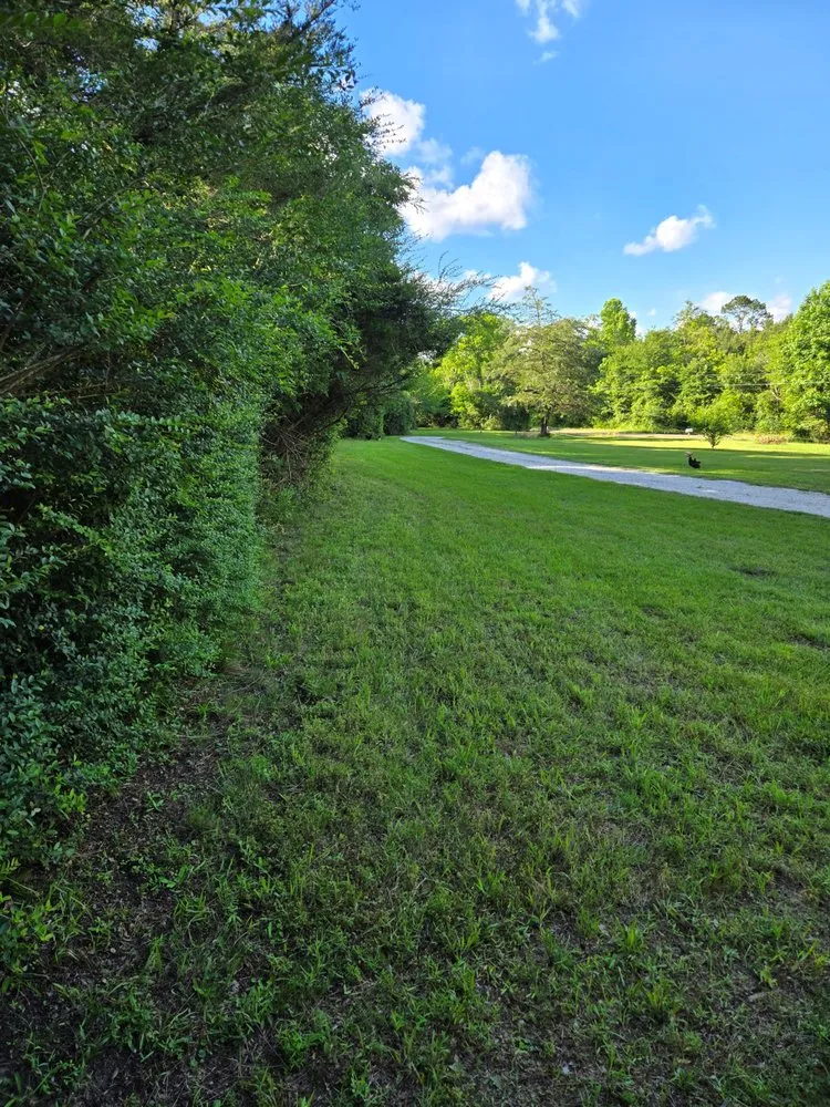 Reliable lawn mowing service in Pollok, TX by AAA Bks Lawn Service