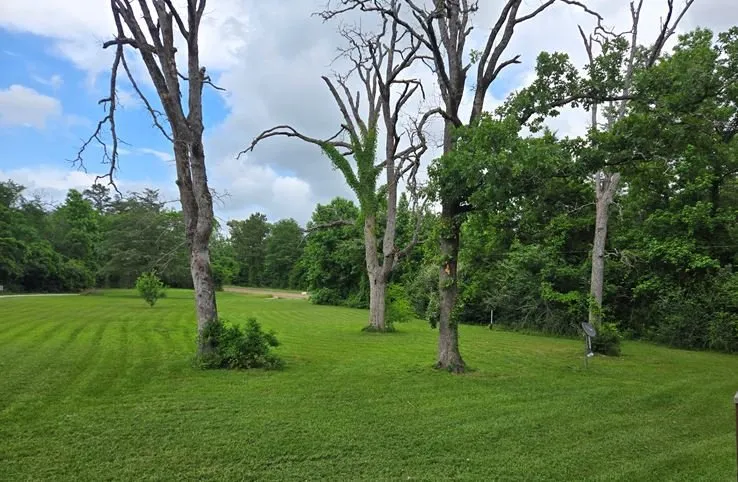 Reliable landscaping services in Pollok, TX by AAA Bks Lawn Service