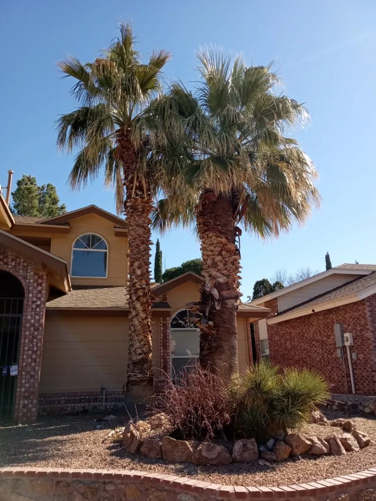 Expert landscaping services in El Paso, TX - AAA Bros Lawncare