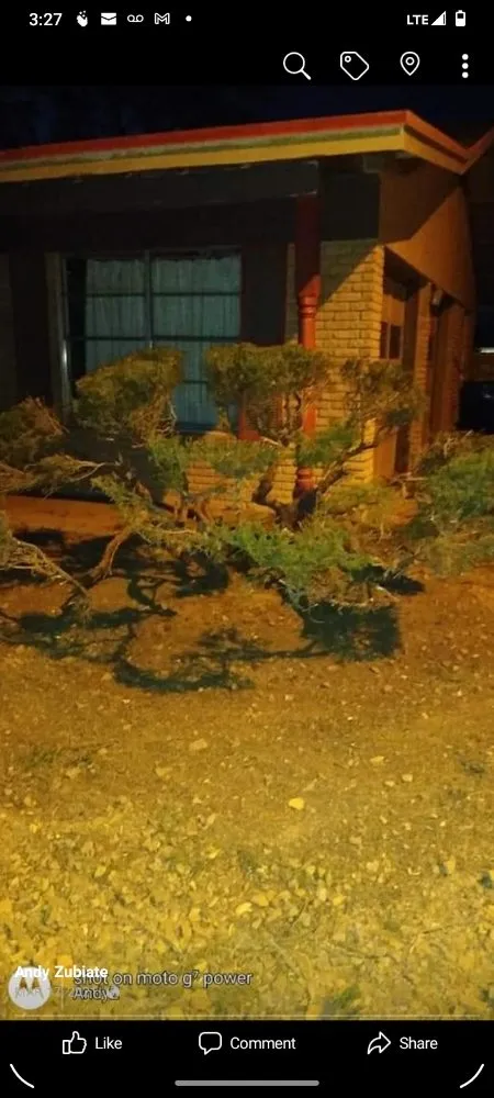 Custom garden landscaping for year-round maintenance across El Paso, TX - AAA Bros Lawncare