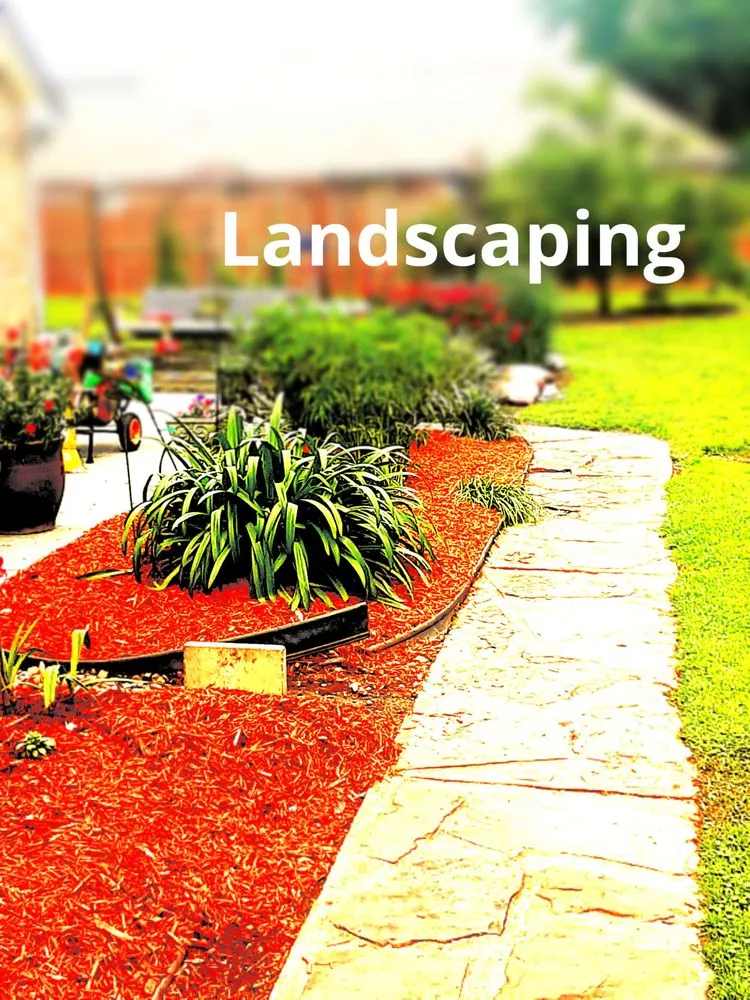 Reliable yard cleanup service in Sulphur, LA by AAA Champions Outdoors and More