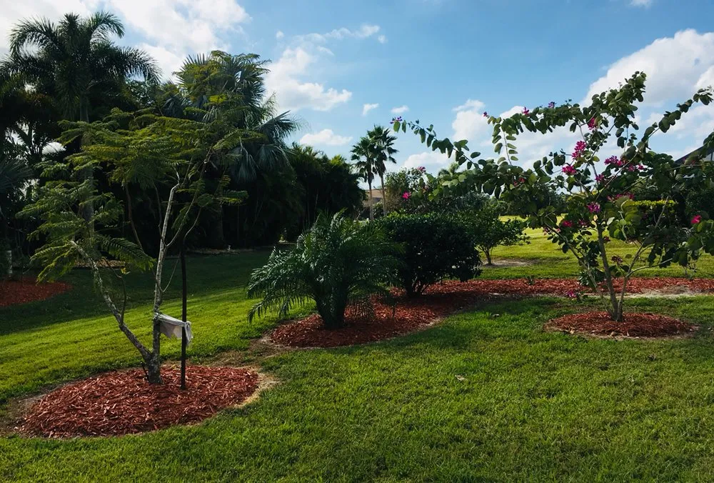 Affordable yard maintenance for beautiful yards in Punta Gorda, FL by AAA Clean Cut Lawn Care