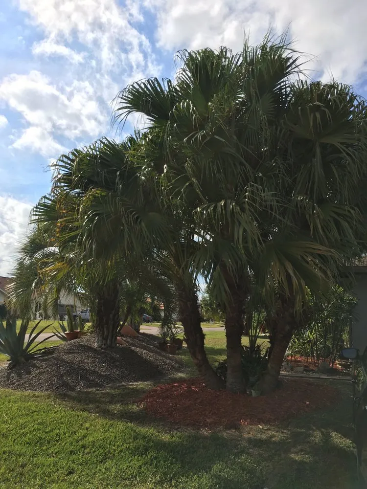 Trusted landscaping services experts serving Punta Gorda, FL - AAA Clean Cut Lawn Care