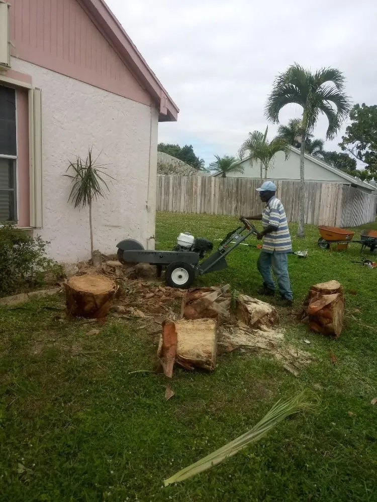 Expert landscaping services experts serving Lake worth, FL - AAA Greencut