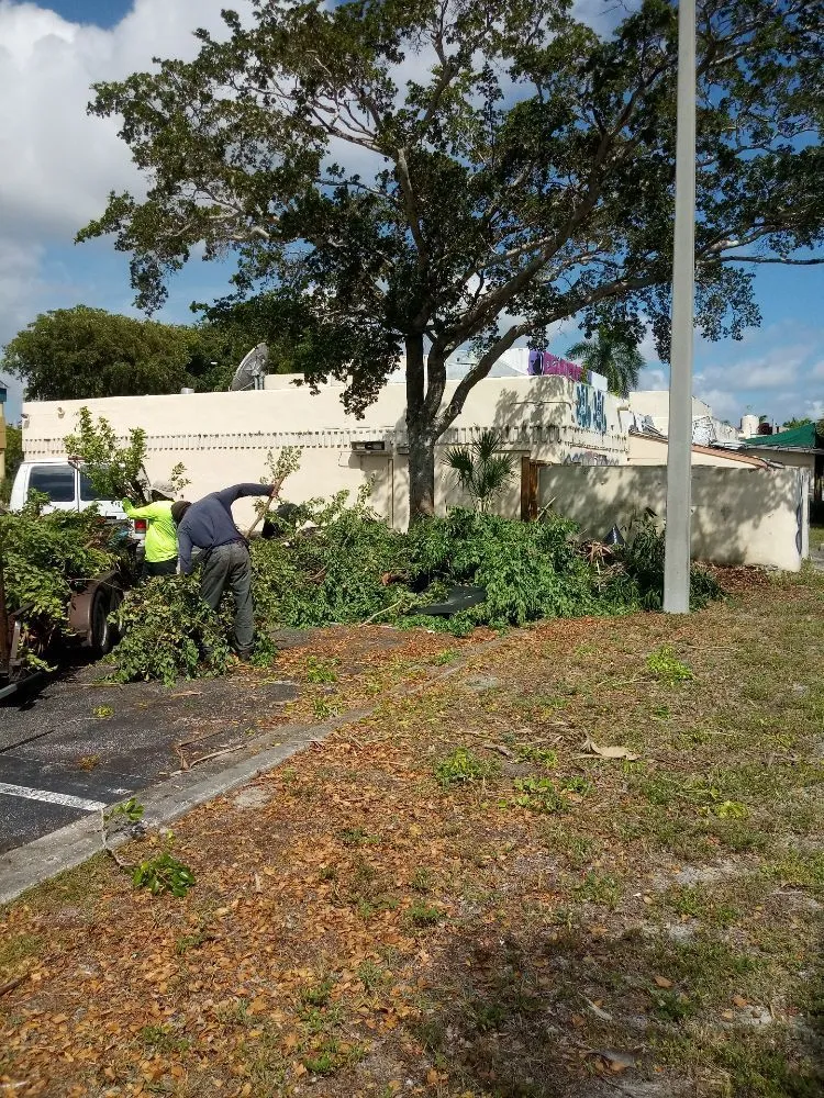 Reliable lawn care service in Lake worth, FL by AAA Greencut