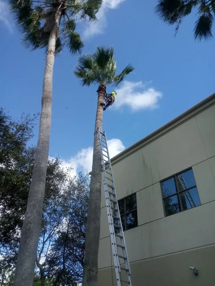 Trusted outdoor landscaping experts serving Lake worth, FL - AAA Greencut