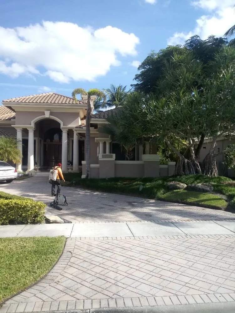 Expert yard cleanup service near you in Lake worth, FL by AAA Greencut