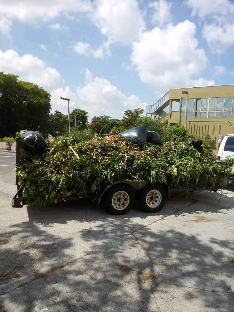 Professional lawn mowing service in Lake worth, FL by AAA Greencut