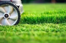 Top-rated lawn mowing service for year-round maintenance in Lake worth, FL by AAA Greencut
