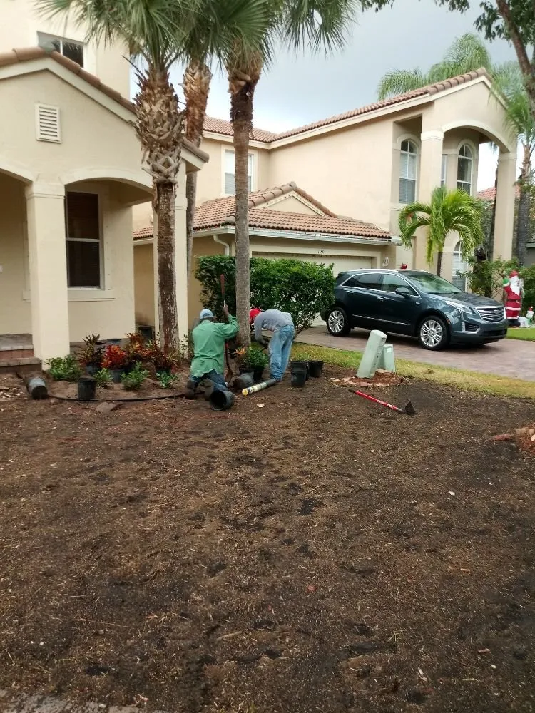 Custom lawn care service experts serving Lake worth, FL - AAA Greencut
