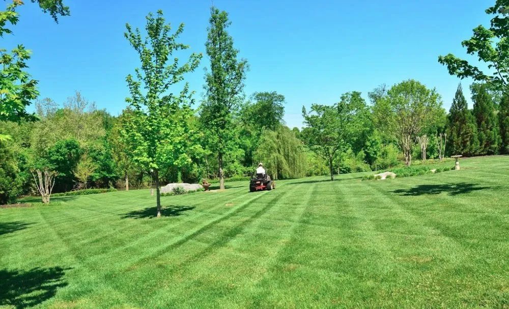 Expert yard maintenance for outdoor upgrades across Lake worth, FL - AAA Greencut