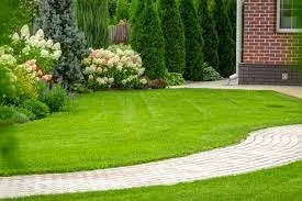 Custom lawn mowing service for year-round maintenance in Lake worth, FL by AAA Greencut