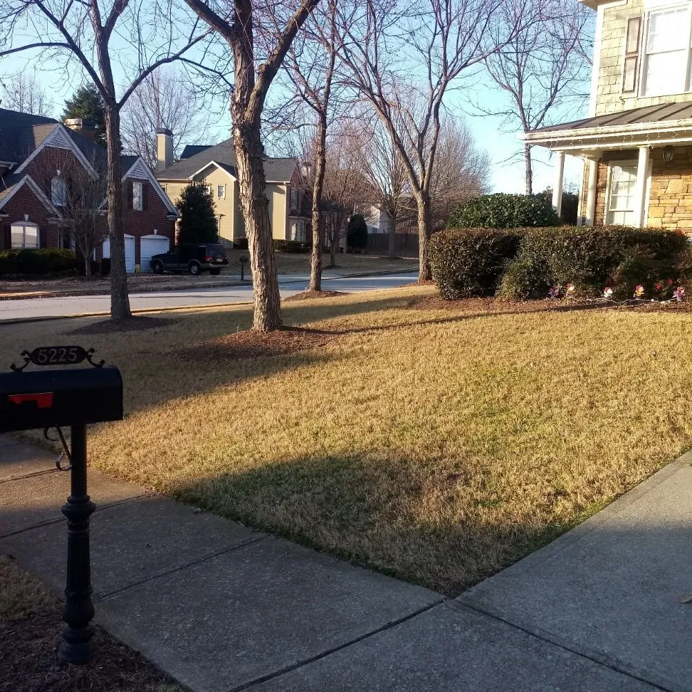 Professional outdoor landscaping in Athens, GA by AAA Harris Lawn Care