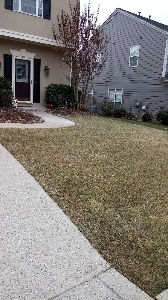 Top-rated outdoor landscaping for beautiful yards across Athens, GA - AAA Harris Lawn Care