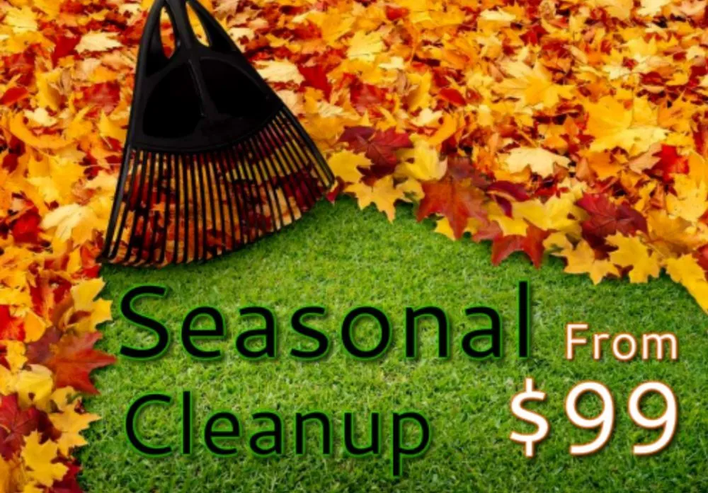 Professional yard cleanup service in Athens, GA by AAA Harris Lawn Care