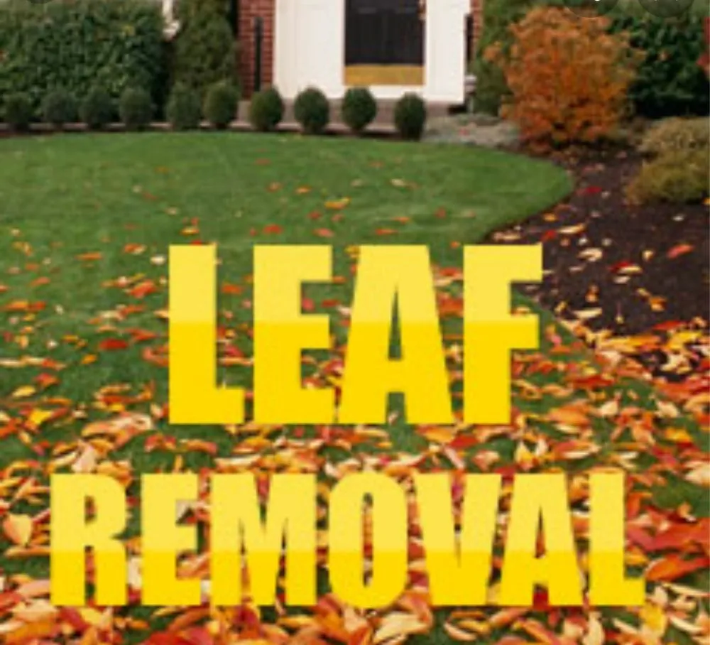 Trusted lawn care service in Athens, GA by AAA Harris Lawn Care