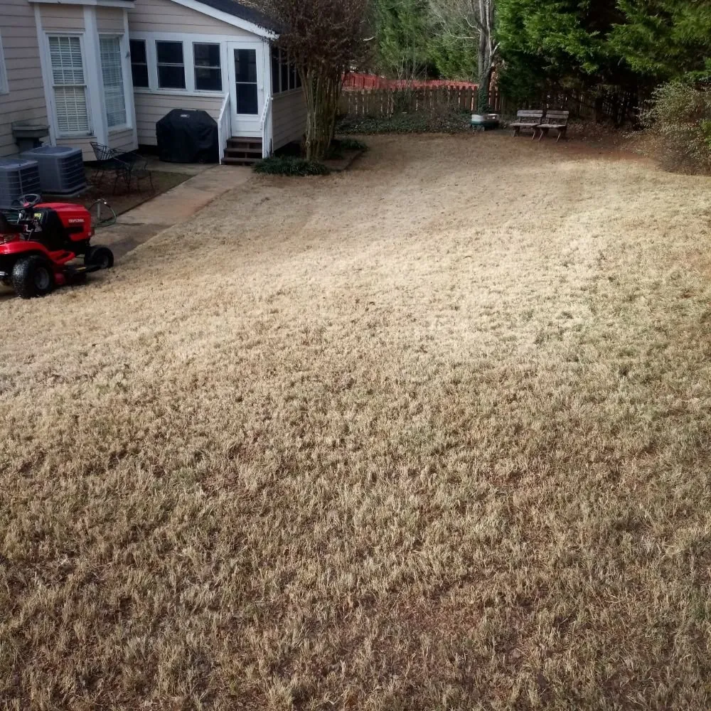 Expert landscape installation in Athens, GA - AAA Harris Lawn Care