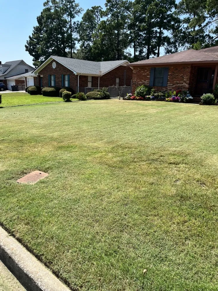 Professional landscape design with custom design in Warrenville, SC by AAA Home Services