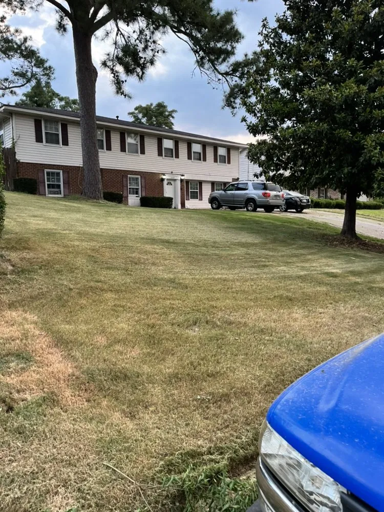 Custom yard cleanup service in Warrenville, SC by AAA Home Services